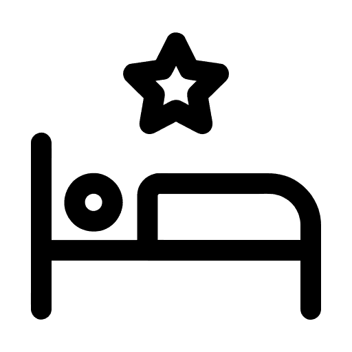 تشک مهمان